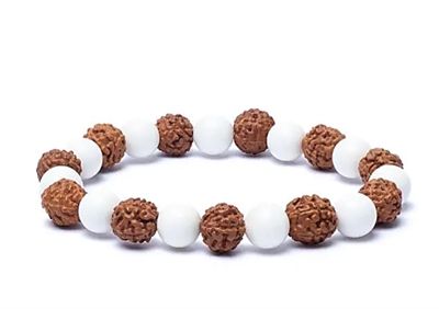 Armbånd Armbånd rudraksha / skal - 1 stk.