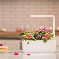 Click and Grow Smart Garden 3 Start kit - hvid 